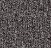 Ковровая плитка Tessera Chroma 3608 Quinoa фото 1 | FLOORDEALER